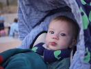 photo thumbnail #5