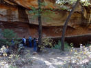 photo thumbnail #5