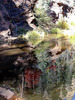 photo thumbnail #13