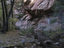 photo thumbnail #5
