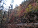 photo thumbnail #9