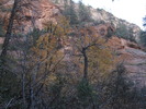photo thumbnail #10