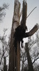 photo thumbnail #2