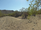 photo thumbnail #6