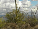 photo thumbnail #10