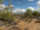 photo thumbnail #12
