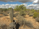 photo thumbnail #14