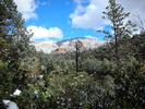 photo thumbnail #7