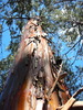 photo thumbnail #8