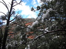 photo thumbnail #12