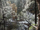 photo thumbnail #14