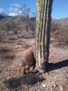 photo thumbnail #1
