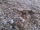 photo thumbnail #2