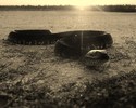 photo thumbnail #12
