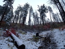 photo thumbnail #8