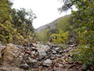 photo thumbnail #3