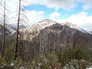 photo thumbnail #6