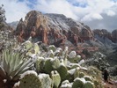photo thumbnail #1