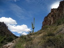 photo thumbnail #2