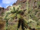 photo thumbnail #3