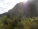 photo thumbnail #4