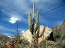 photo thumbnail #5