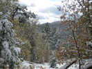 photo thumbnail #4