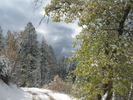 photo thumbnail #8
