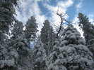 photo thumbnail #9
