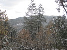 photo thumbnail #15