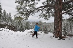 photo thumbnail #3