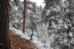 photo thumbnail #4