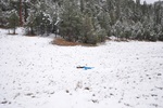 photo thumbnail #7