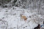 photo thumbnail #12