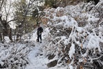 photo thumbnail #13