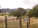 photo thumbnail #1