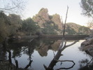 photo thumbnail #7