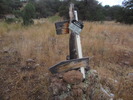 photo thumbnail #2