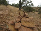 photo thumbnail #3