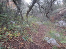 photo thumbnail #7