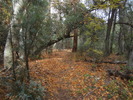 photo thumbnail #11