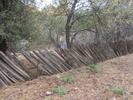 photo thumbnail #12