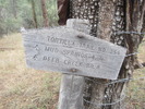 photo thumbnail #15