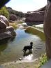 photo thumbnail #11