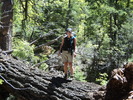 photo thumbnail #6