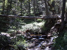 photo thumbnail #9