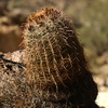 photo thumbnail #2