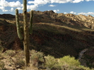photo thumbnail #7
