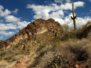 photo thumbnail #12