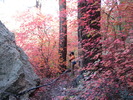 photo thumbnail #1